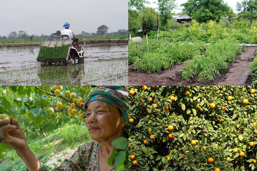 Imperial Agriculture